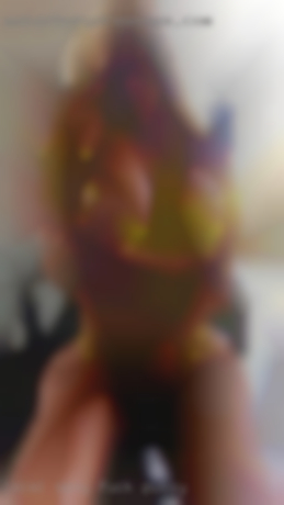 Local sexy women that want penpals fuck pussy.